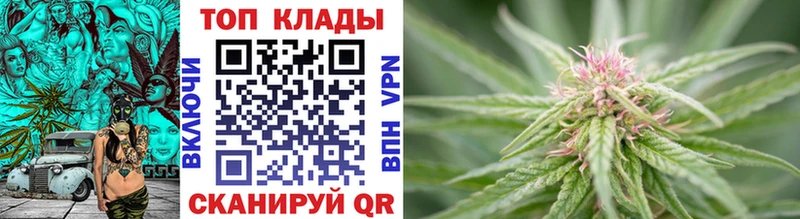 Наркошоп купить Марихуана  Меф  Псилоцибиновые грибы  Бутират  КОКАИН  Alpha PVP  Гашиш  Высоцк