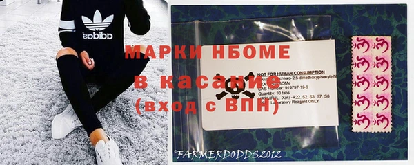 PSILOCYBIN Алзамай