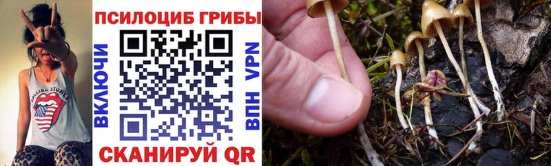 Псилоцибиновые грибы MAGIC MUSHROOMS Купить Высоцк